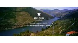 Douro Valley: Portugal