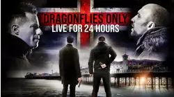 Dragonflies Only Live for 24 Hours