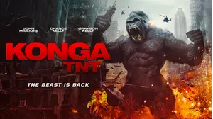 Konga Tnt