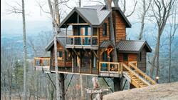 Tiny BNB: Tiny Life in the Trees