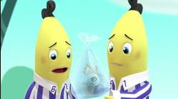 The Little Fish / Glue