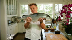 Salmon