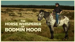 The Horse Whisperer of Bodmin Moor
