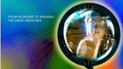 From Neurons to Nirvana: The Great Medicines