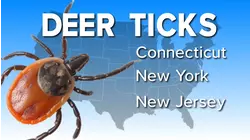 Tips to prevent tick bites and symptoms to know