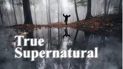 The Betty Hill Dress - The Rocky Mountain Demon Wolf