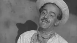 The Sunflower Seed Story