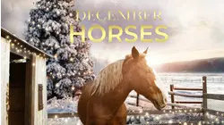 December Horses