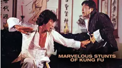Marvelous Stunts of Kung Fu