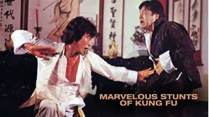 Marvelous Stunts of Kung Fu