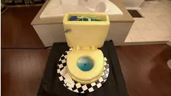 Toilets and Textiles