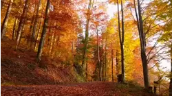 Season-changing cold front is on the way to southeast Texas