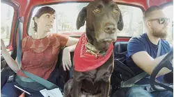 Monster Remodel -- Zombie House Flipping