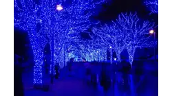 Wonderland of Lights returns for fifth season at Dutchess County Fairgrounds