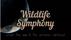 Wildlife Symphony: Under the ocean and the rain-forest