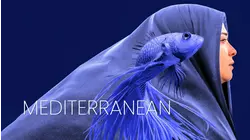 Mediterranean
