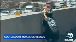 Courageous cat rescue caught on video in the middle of the Cajon Pass