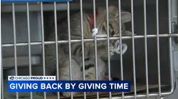 Chicagoans volunteer time during season of giving