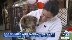 CA dog reunited with family nearly 5 years after he disappeared, found more than 2,000 miles away