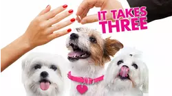 It Takes Three