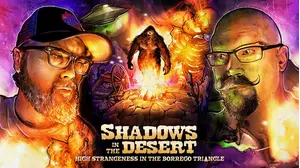 Shadows in the Desert: High Strangeness in the Borrego Triangle