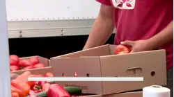 Norwalk Community Health Center launches a produce donation program