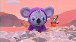 Book Hungry Bears