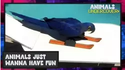 Animals Just Wanna Have Fun