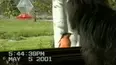 Funniest Pets & People