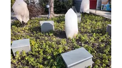 Stolen geodes worth $11K recovered after suspect tries to sell them online