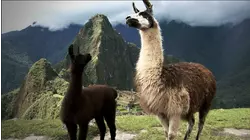 Machu Picchu, Peru featuring Brian Culbertson,Jessy J, Bob Baldwin