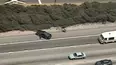 World's Wildest Police Videos
