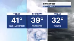 Arctic blast incoming with a chance of snow at the end of the week for The Bronx