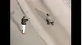 World's Wildest Police Videos