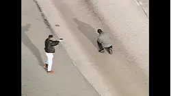 World's Wildest Police Videos