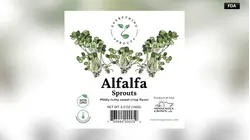 Everything Sprouts recall linked to E. coli, salmonella outbreak