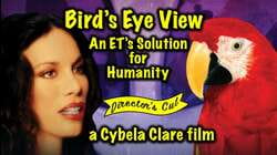 Bird's Eye View - An ET's Solution for Humanity.