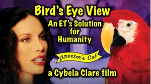 Bird's Eye View - An ET's Solution for Humanity.