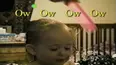 Funniest Pets & People