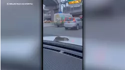 Rat catches ride to LaGuardia Airport on hood of car