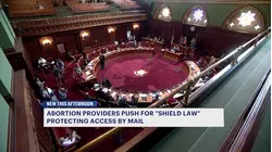 Clock ticking as lawmakers push for abortion pill protections