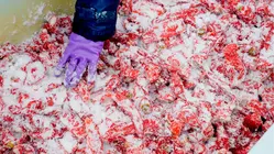 Why Japanese Kanzuri Chile Paste Is So Expensive