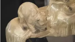 Mark Stacey and Paul Laidlaw, Day 5