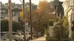 SF considering changes to Public Works code that requires tree planting