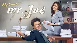 My Lawyer, Mr.Joe
