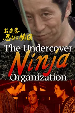 The Undercover Ninja Organization