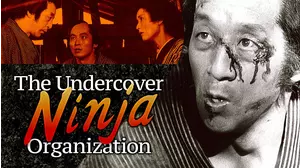 The Undercover Ninja Organization