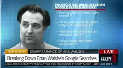 Breaking Down Accused Wife Killer Brian Walshe's Google Searches