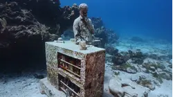 The Mesoamerican Reef