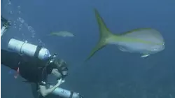 Belize